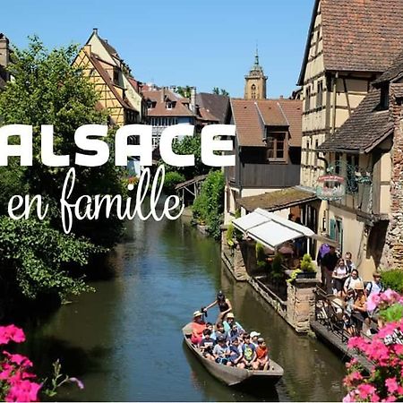 Ville Centre - Gite Le Villois - Au Coeur De L'Alsace Exteriör bild
