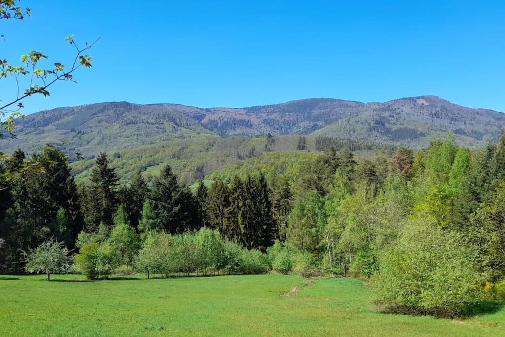 Ville Centre - Gite Le Villois - Au Coeur De L'Alsace Exteriör bild