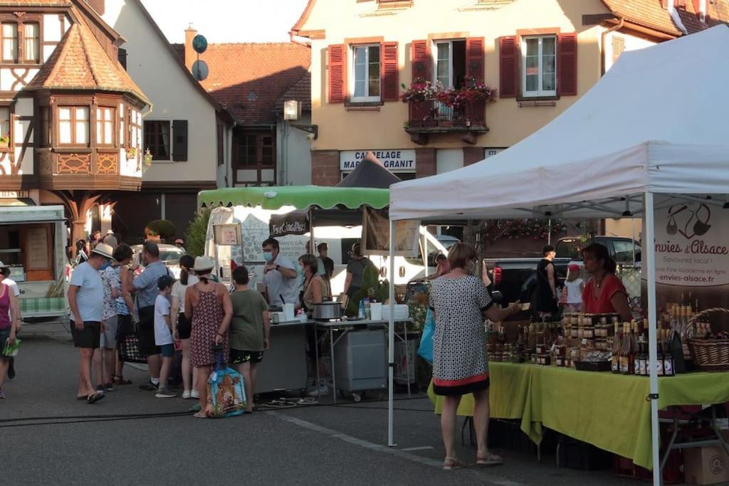 Ville Centre - Gite Le Villois - Au Coeur De L'Alsace Exteriör bild