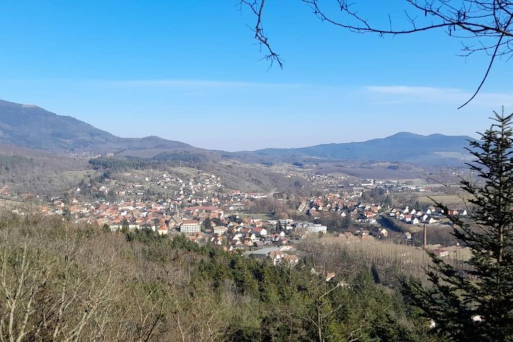 Ville Centre - Gite Le Villois - Au Coeur De L'Alsace Exteriör bild