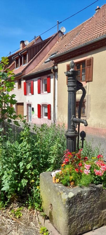 Ville Centre - Gite Le Villois - Au Coeur De L'Alsace Exteriör bild